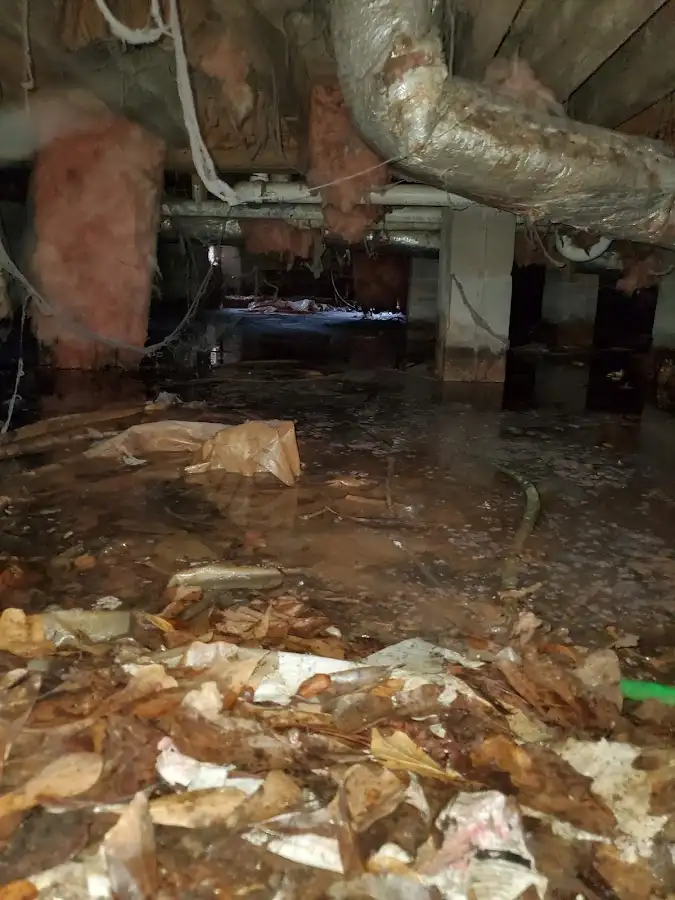Crawl space flood assessment for Leak Detection & Repair in Lockhart