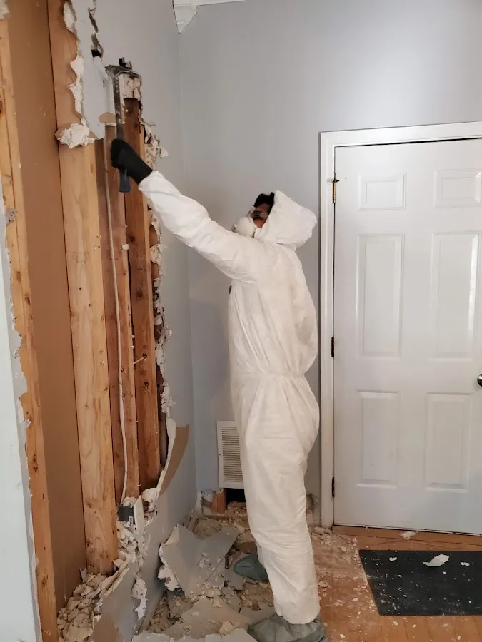 Basement Flood Cleanup in Lockhart, FL